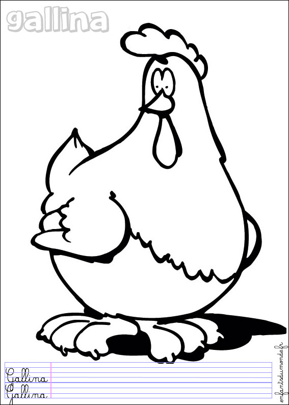 coloriage  dessiner poule et coq