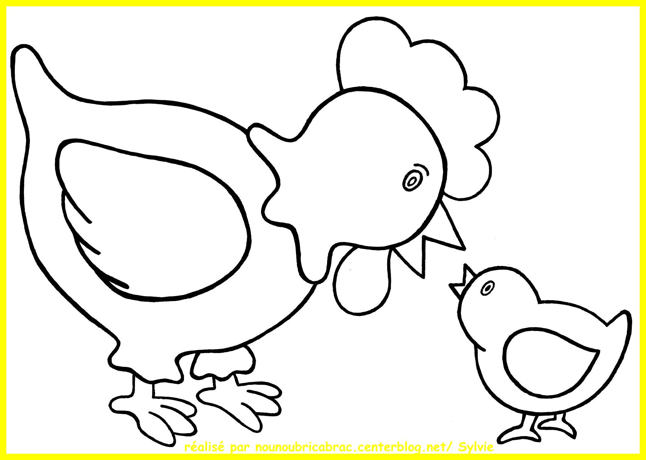 dessin   colorier poule simple