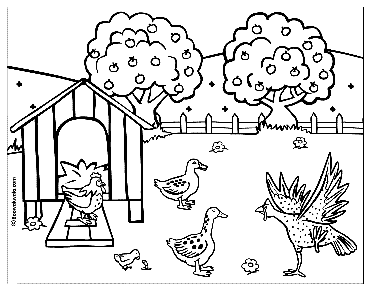 dessin poule a imprimer gratuit