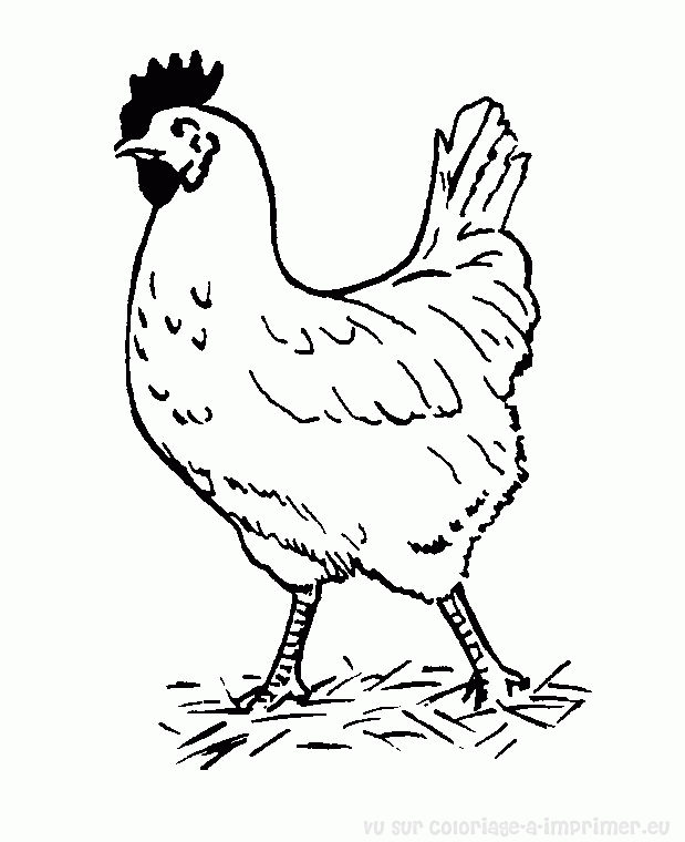 coloriage poule de paques a imprimer gratuit