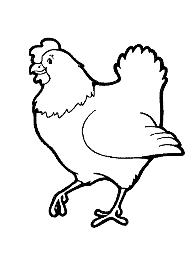 coloriage poussin poule coq