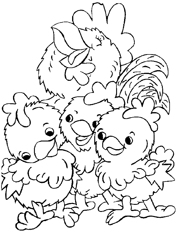 coloriage poussin