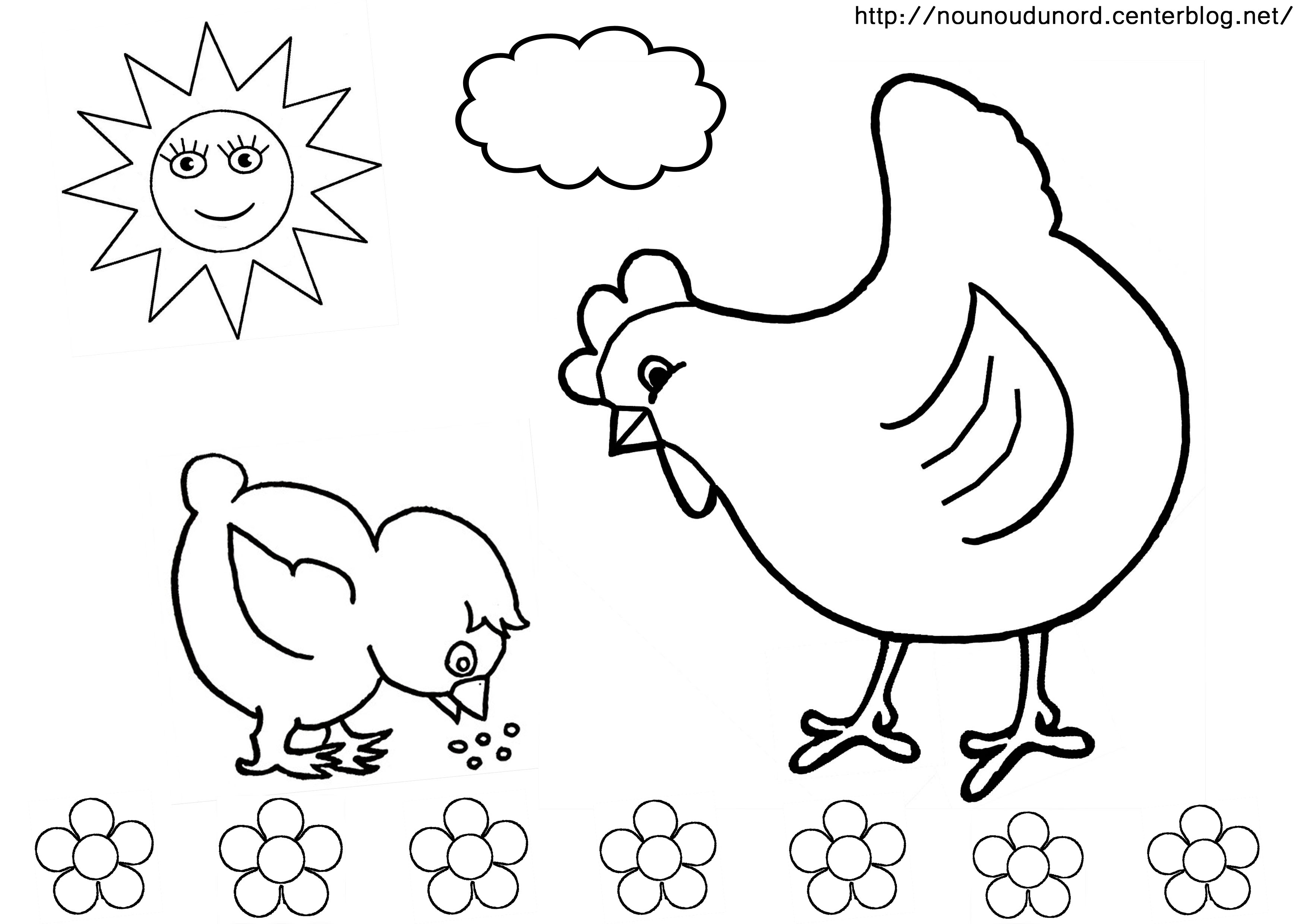 coloriage poussin