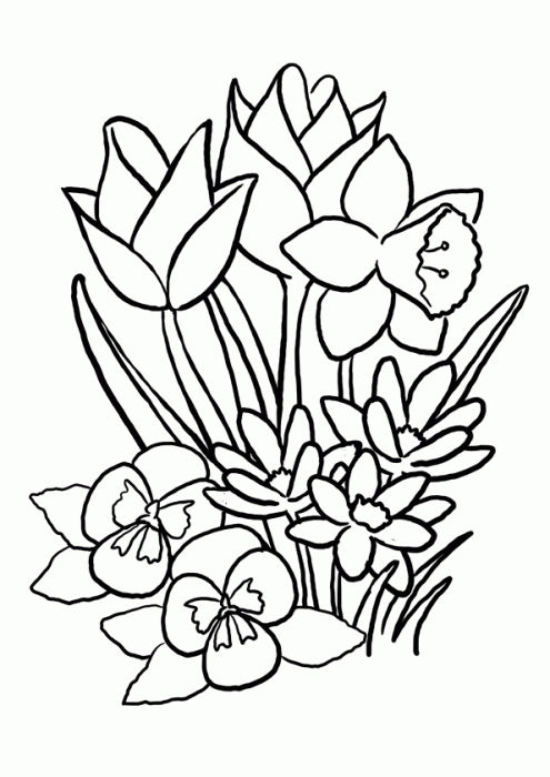 coloriage  dessiner de printemps en ligne