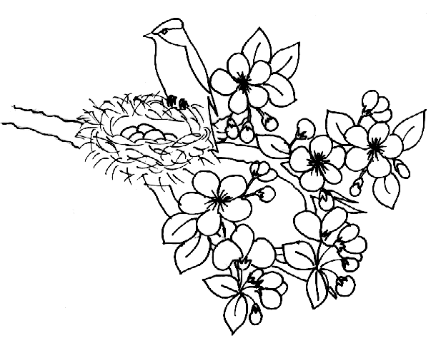 dessin à coloriers légumes printemps