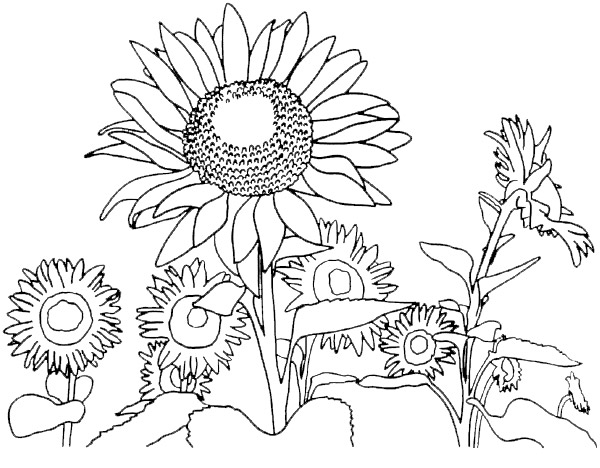 coloriage paysage printemps imprimer