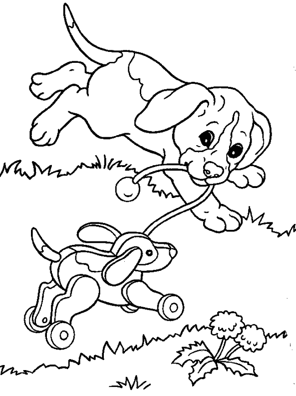 coloriage de puppy in my pocket en ligne