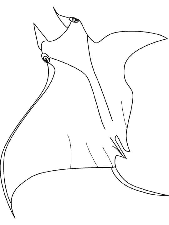Dessin A Colorier Raie Manta