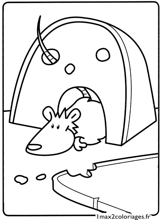 coloriage à dessiner un rat