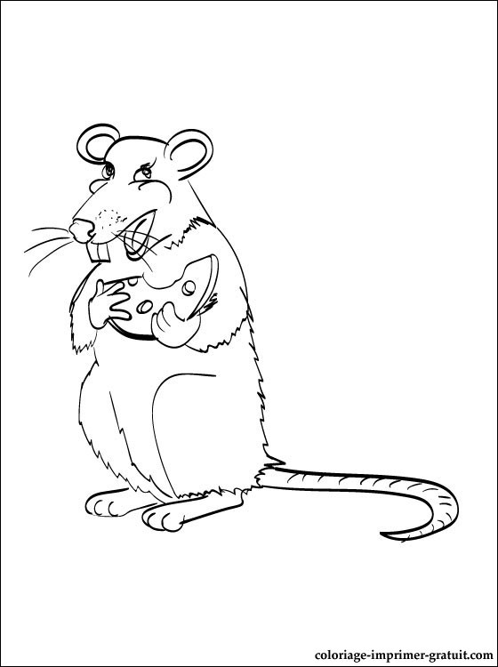 coloriage à dessiner lion et rat