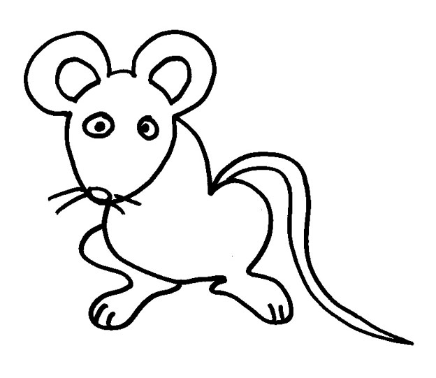 dessin  colorier un rat