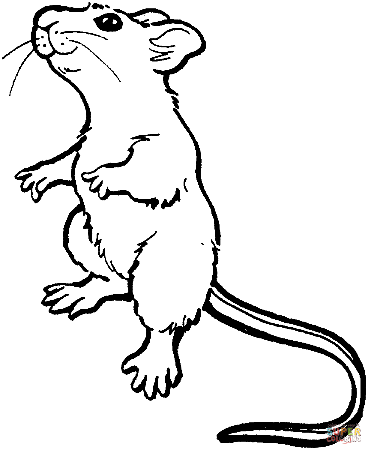 coloriage  dessiner chat et rat