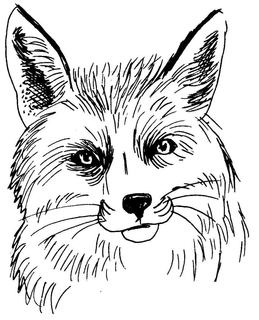 coloriage à dessiner corbeau renard