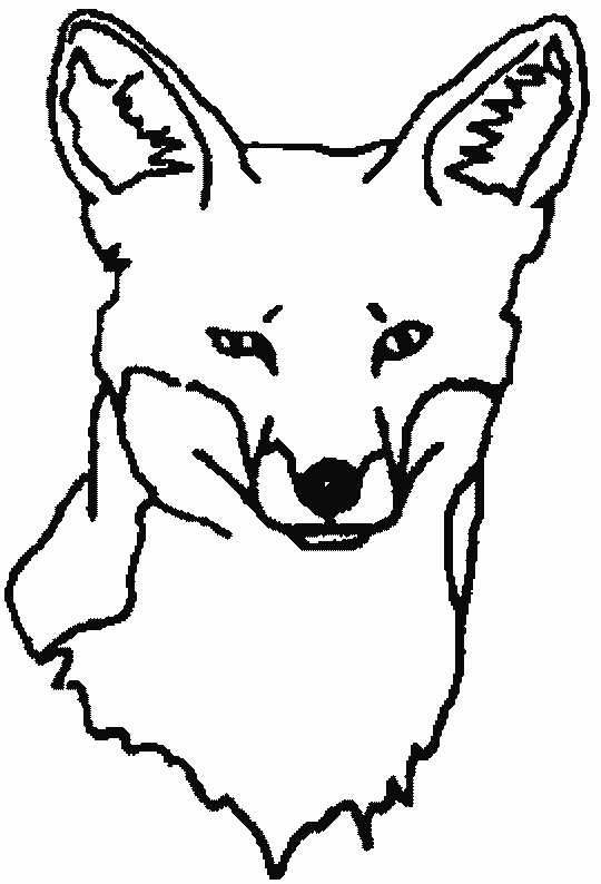 coloriage à dessiner renard petit prince