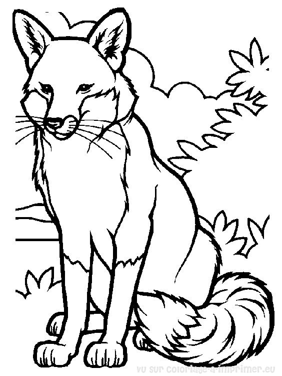 coloriage corbeau renard imprimer