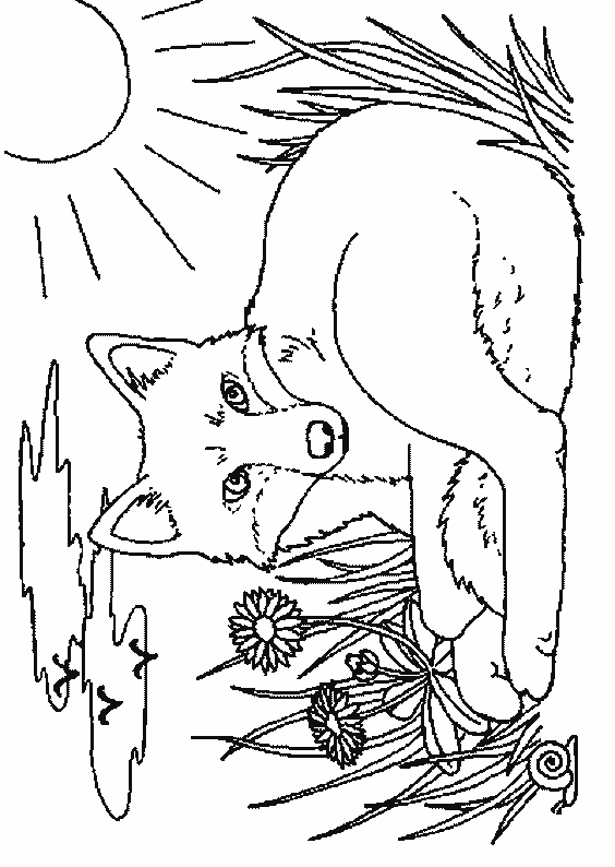 dessin à colorier bon appétit monsieur renard