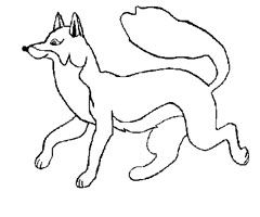 dessin maitre renard