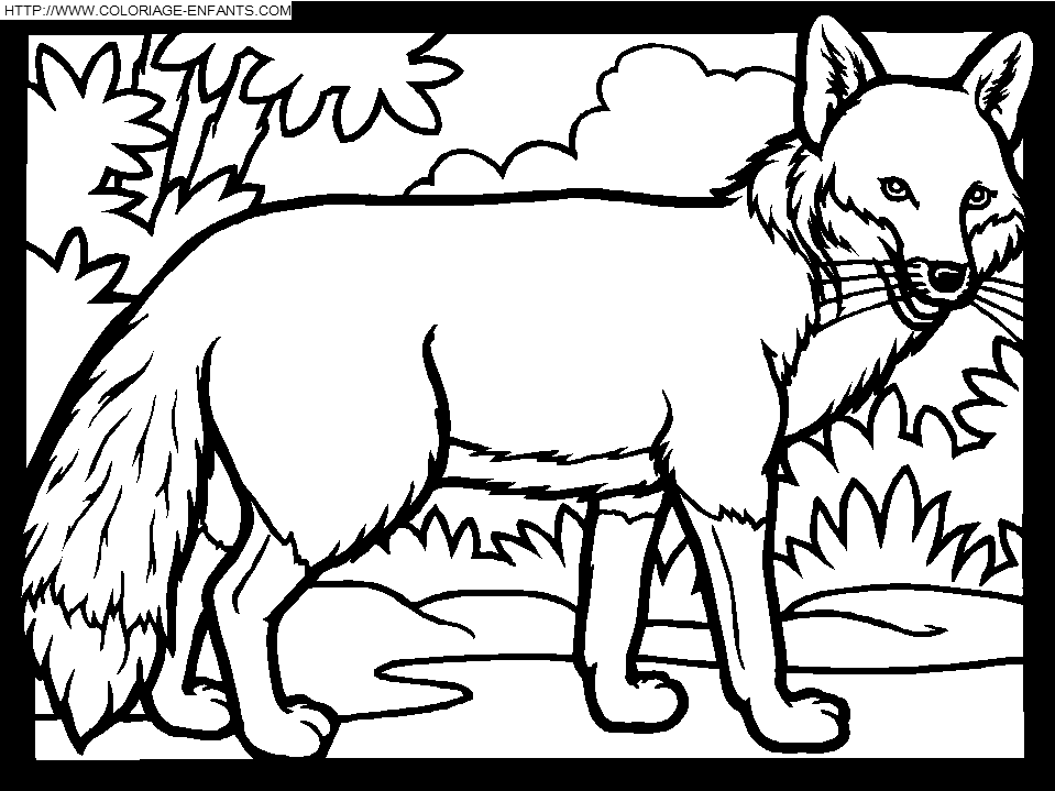 coloriage à dessiner renard assis