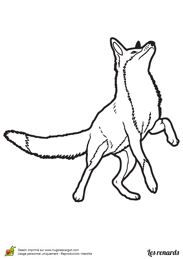 Dessin à Colorier Renard Et Corbeau