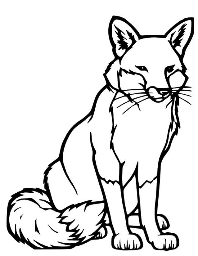 dessin Ã colorier renard assis