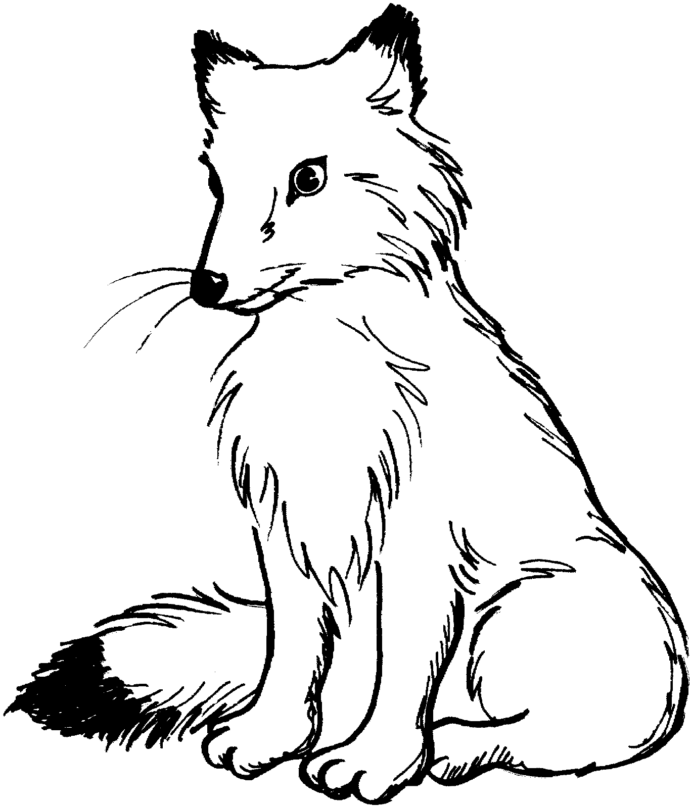 dessin à colorier renard a imprimer gratuit