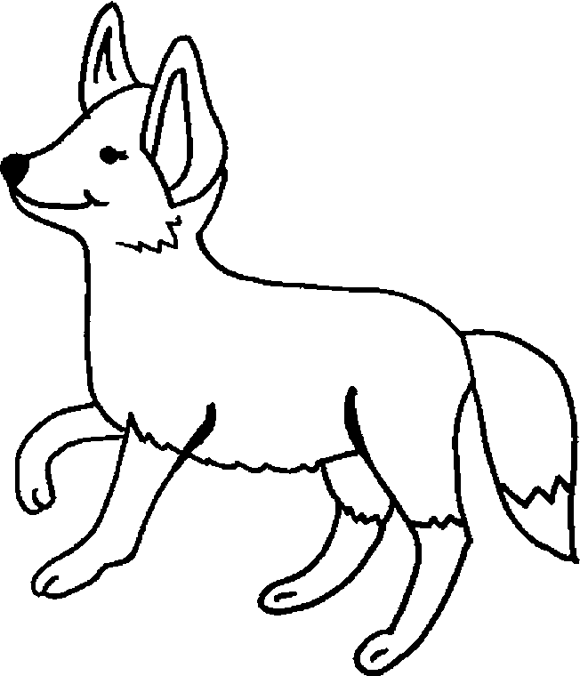 dessin un renard