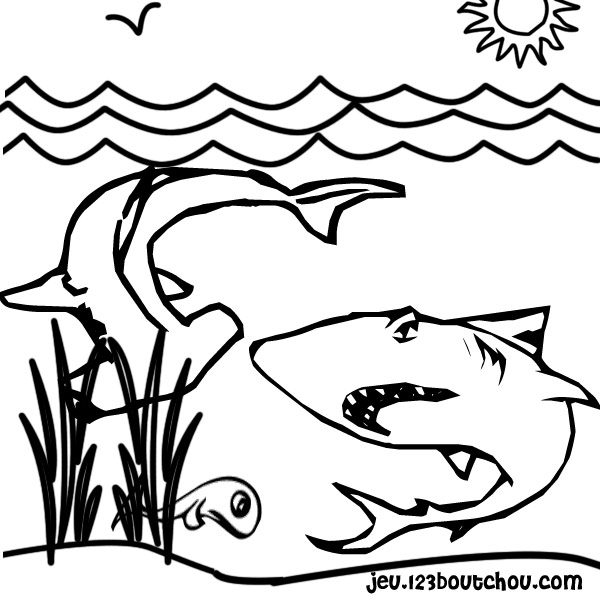 coloriage à dessiner requin rigolo