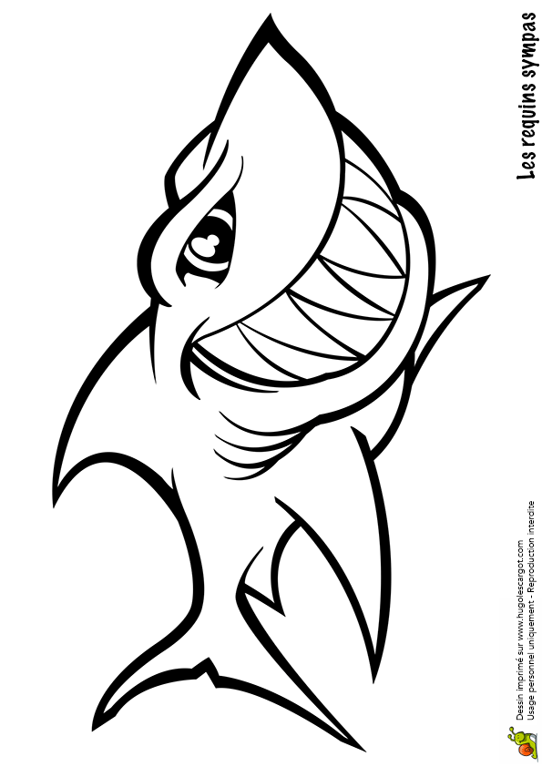 coloriage a dessiner de requin blanc a imprimer