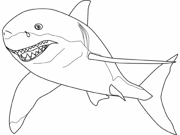 coloriage requin facile