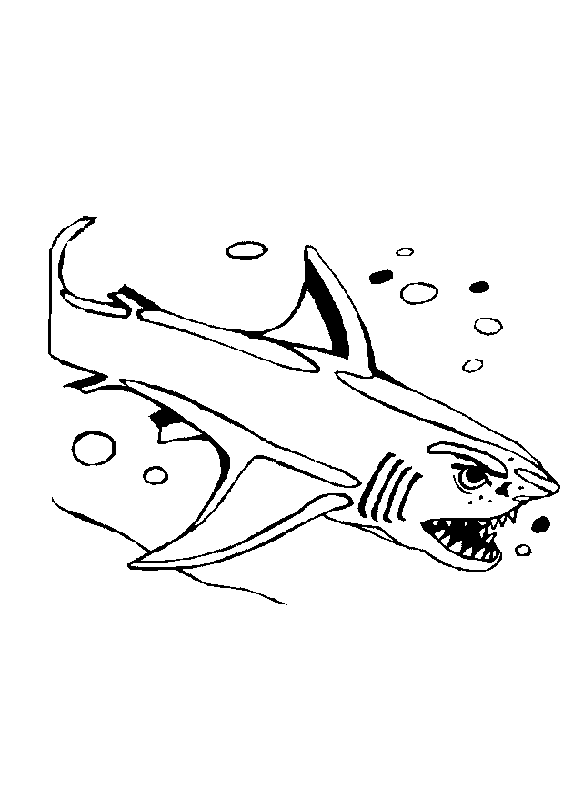 dessin requin baleine