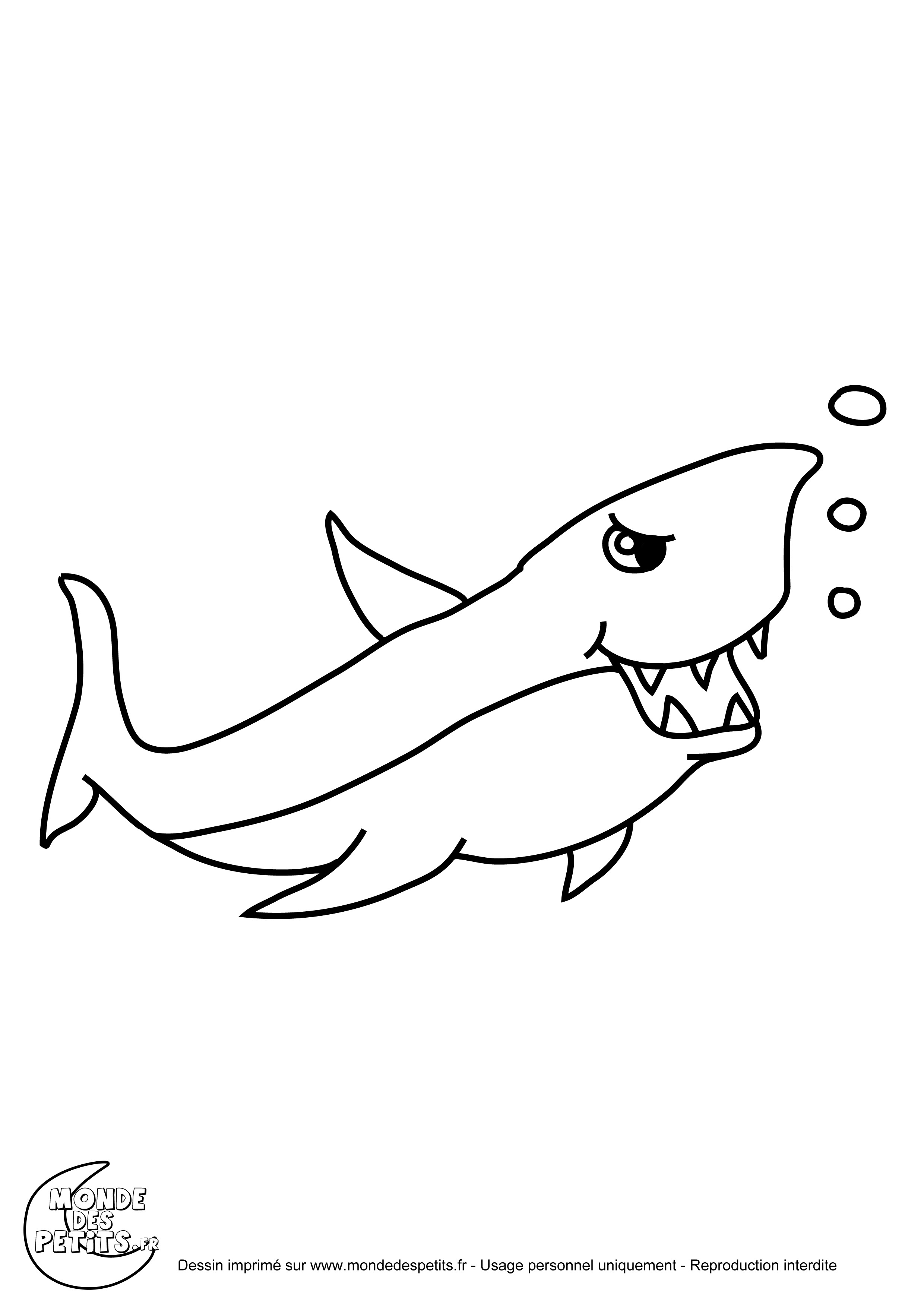 dessin requin baleine dessin