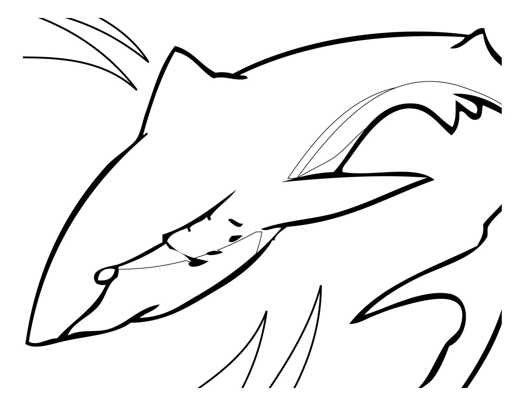 dessin a colorier de requin blanc