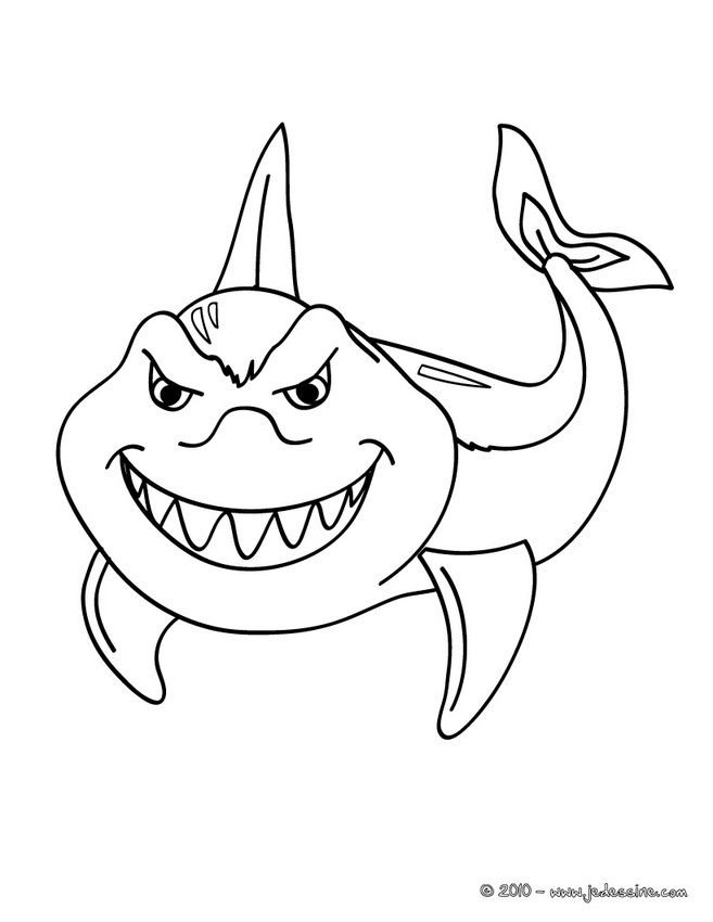 coloriage à dessiner de requin marteau