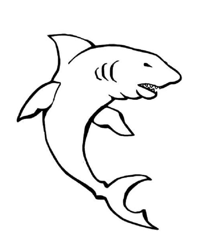 dessin à colorier à imprimer requin