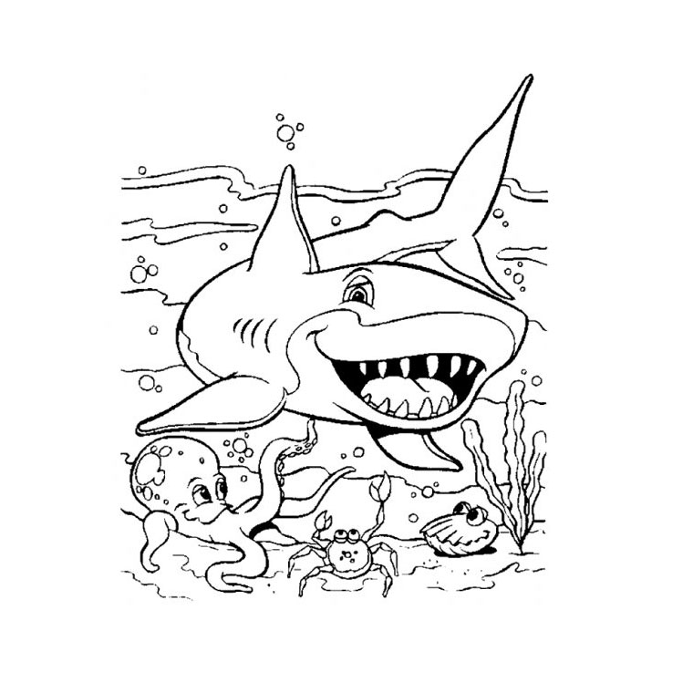 coloriage à dessiner requin bouledogue