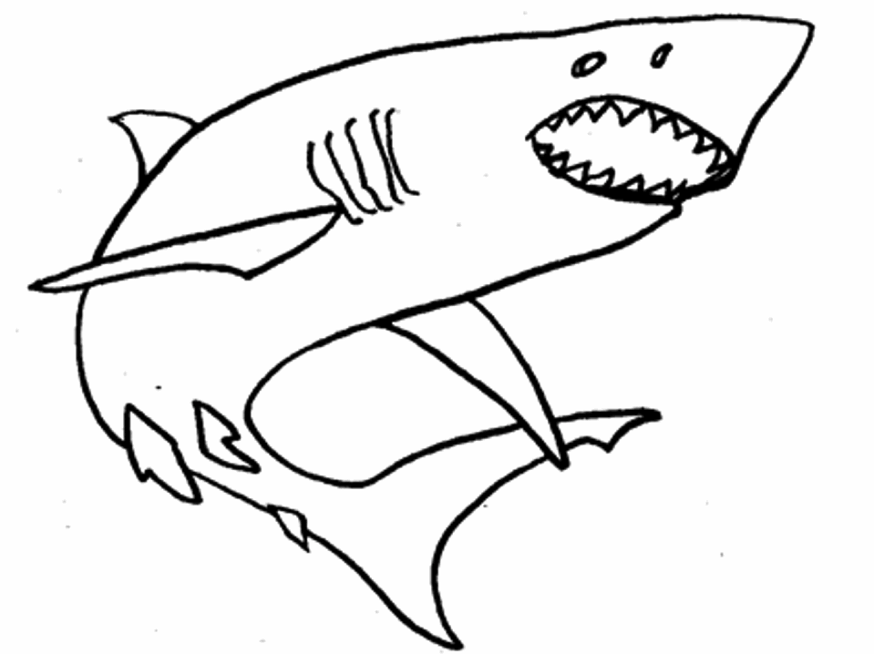 dessin à colorier de requin blanc a imprimer