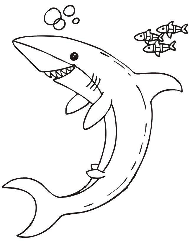 coloriage  dessiner requin baleine a imprimer