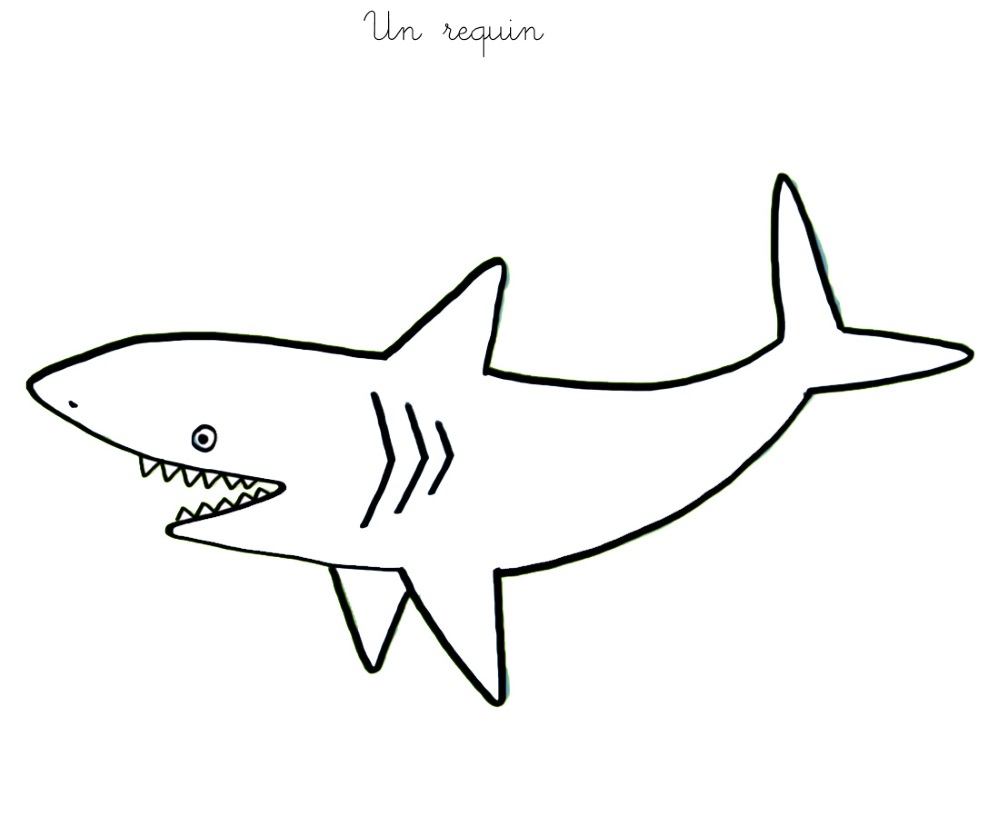 dessin à colorier requin à imprimer