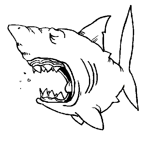 dessin à colorier requin marteau