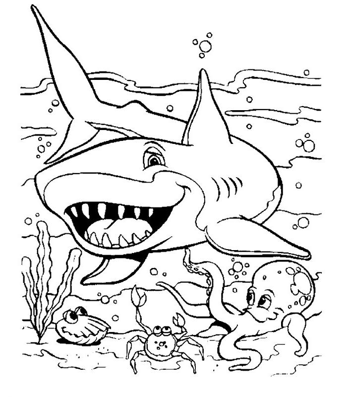 dessin à colorier de requin blanc