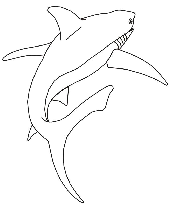 dessin à colorier requin gratuit