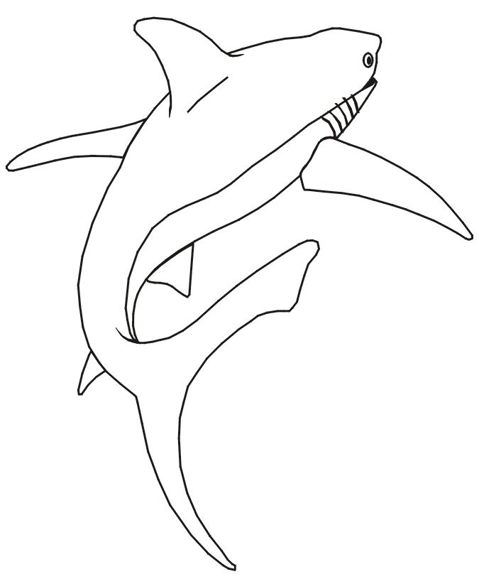 dessin  colorier requin gratuit