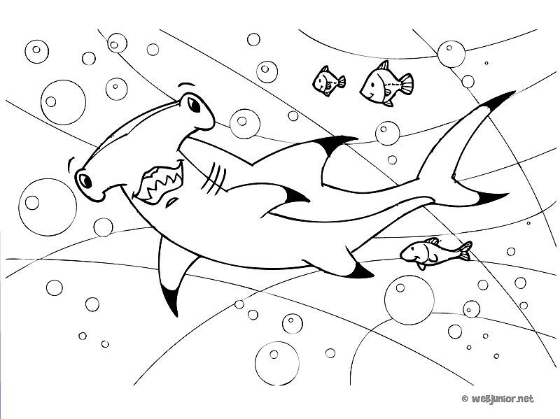 dessin à colorier requin scie a imprimer