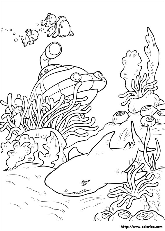 coloriage à dessiner d'un requin