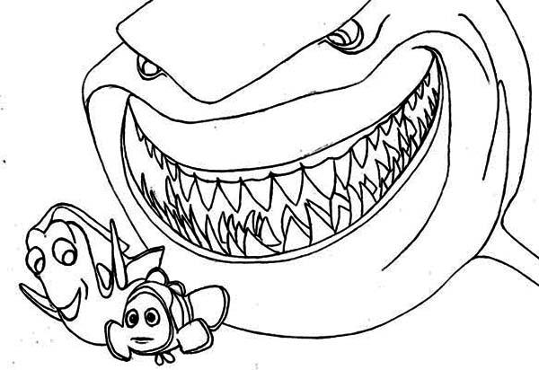 coloriage a dessiner de requin blanc a imprimer