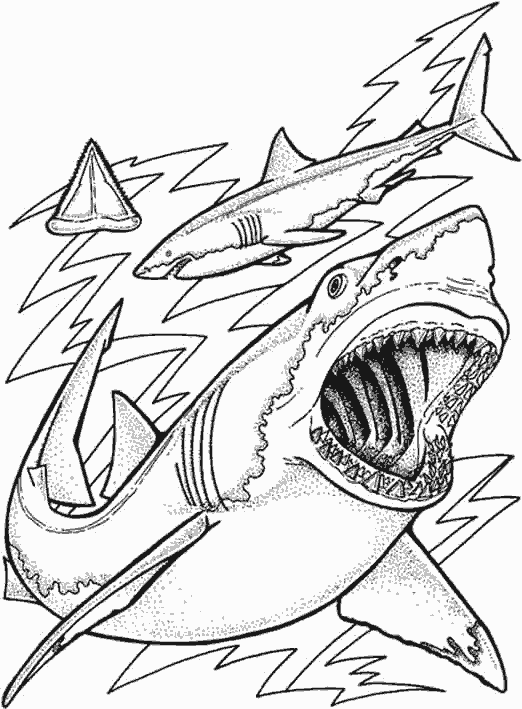 coloriage à dessiner requin scie a imprimer