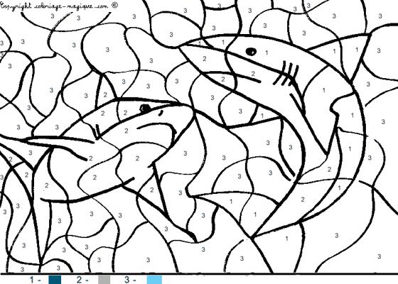 coloriage à dessiner requin mer