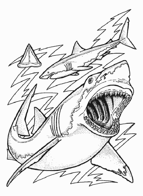 dessin à colorier requin nemo