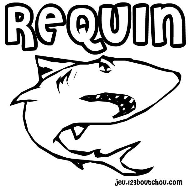 coloriage à dessiner requin à imprimer