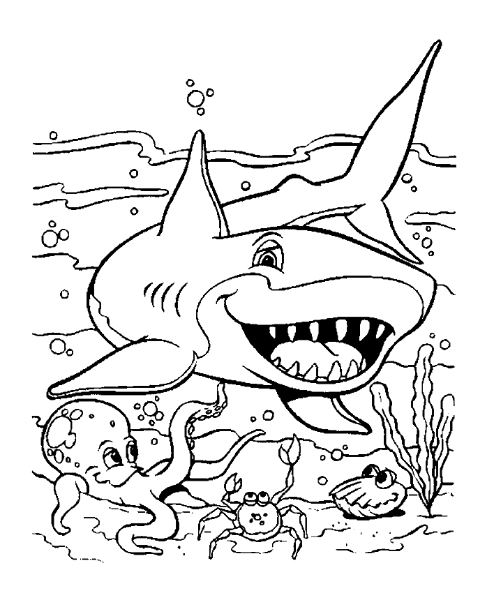 image dessin requin